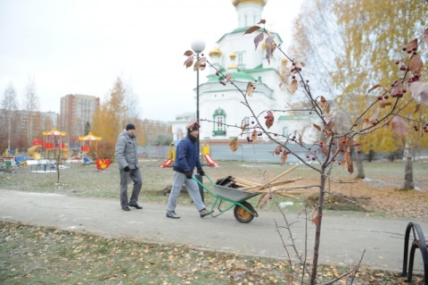 Депутатский сквер украсила яблоневая аллея