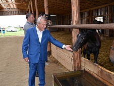 Владимир Ульянов посетил с рабочим визитом Армизонский район 