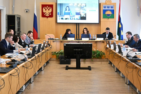 Дмитрий Плотников принял участие в очередном заседании комитета по социальной политике 