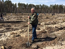 Владимир Нефедьев принял участие во Всероссийском дне посадки леса
