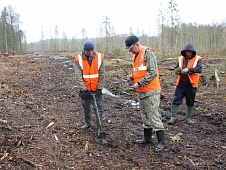 Богдан Богославец принял участие в мероприятии по лесовосстановлению