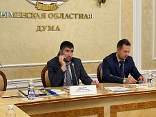 Заседание Экспертного совета фракции ЛДПР Тюменской областной думы 